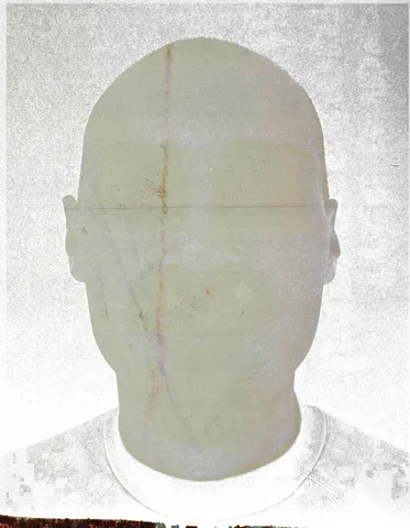 Dominik Leitner